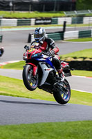 cadwell-no-limits-trackday;cadwell-park;cadwell-park-photographs;cadwell-trackday-photographs;enduro-digital-images;event-digital-images;eventdigitalimages;no-limits-trackdays;peter-wileman-photography;racing-digital-images;trackday-digital-images;trackday-photos